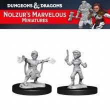 Female Gnome Artificer (2ct)