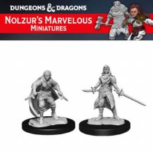 Female Half-Elf Rogue (2ct)