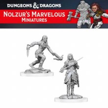 Female Half-Elf Rouge (2ct)