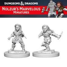 Female Halfling Rogue (2ct)