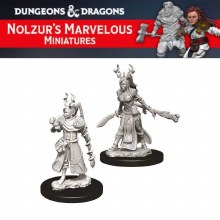 Female Human Druid (1ct)