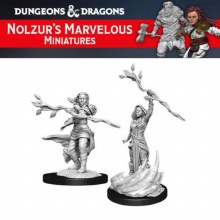 Human Druid Female (2ct)