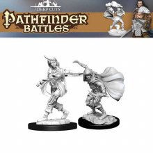 Female Human Rogue (2ct)