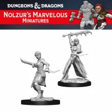 Female Human Rogue (2ct)