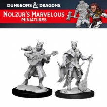 Female Tiefling Bard (2ct)