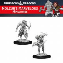 Tiefling Female Rogue (2ct)