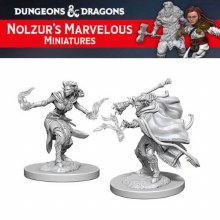 Female Tiefling Warlock (2ct)