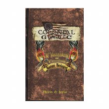 Flames of Freedom - Boston Besieged