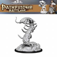 Giant Centipede (1ct)