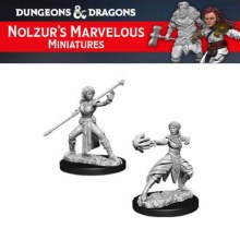 Half-Elf Monk (2ct)