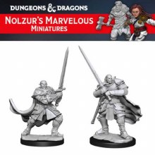 Half-Orc Paladin Male (2ct)
