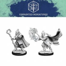 Hobgoblin Wizard and Druid Male (2ct)