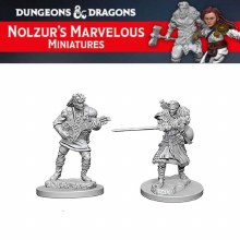 Human Male Bard (2ct) Human Male Bard (2ct)