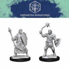 Human Clovis Concord Cleric Male (2ct)