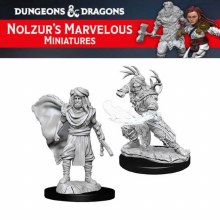 Male Human Druid (2ct)