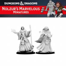 Human Female Wizard (2ct)