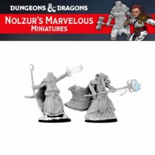 Human Male Wizard (2ct)