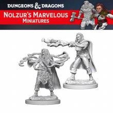 Human Male Sorcerer (2ct)