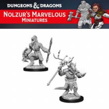 Lizardfolk & Lizardfolk Shaman (2ct)