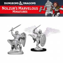 Aasimar Male Paladin (2ct)