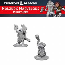 Male Dwarf Cleric (2ct)