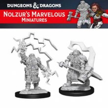 Male Dwarf Cleric (2ct)
