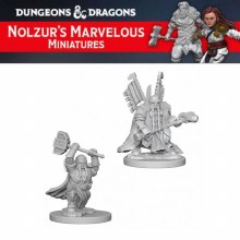 Dwarf Male Paladin (2ct)