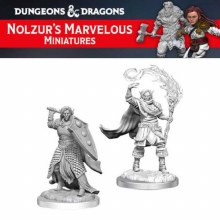 Male Elf Cleric (2ct)