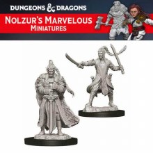 Male Elf Paladin (2ct)