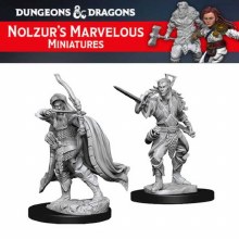 Male Elf Rogue (2ct)
