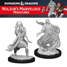 Male Elf Sorcerer (2ct)
