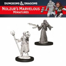 Male Elf Wizard (2ct)