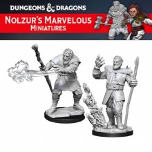 Male Firbolg Druid (2ct)