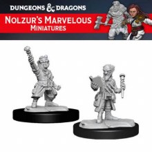 Male Gnome Artificer (2ct)
