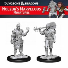 Male Half-Elf Bard (2ct)