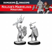 Male Half-Elf Paladin (2ct)