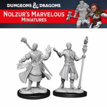Male Half-Elf Wizard (2ct)