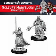 Male Human Cleric (2ct)