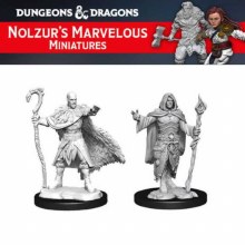 Human Druid Male (2ct)