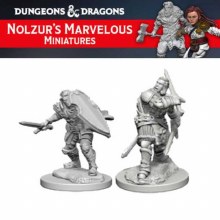 Male Human Paladin (2ct)