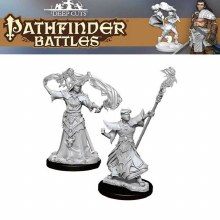 Male Human Sorcerer (2ct)
