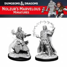 Male Human Wizard (2ct)