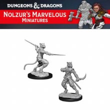 Male Tabaxi Rogue (2ct)