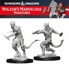 Tiefling Male Rogue (2ct)