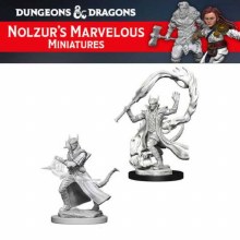 Tiefling Male Sorcerer (2ct)