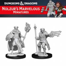 Multiclass Cleric + Wizard Male (2ct)