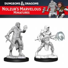Multiclass Fighter + Wizard Male (2ct)