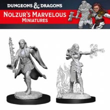 Multiclass Warlock + Sorcerer Female (2ct)