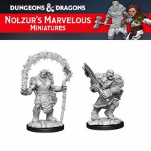Orc Adventurers (2ct)
