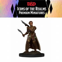 Premium Figures: Female Shifter Rogue (1ct)